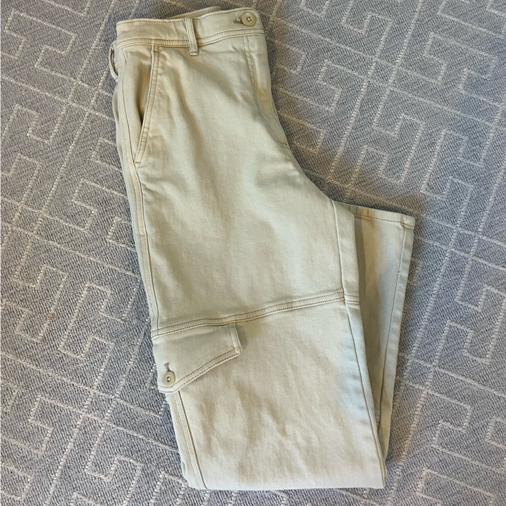 Aritzia Cargo Pants
